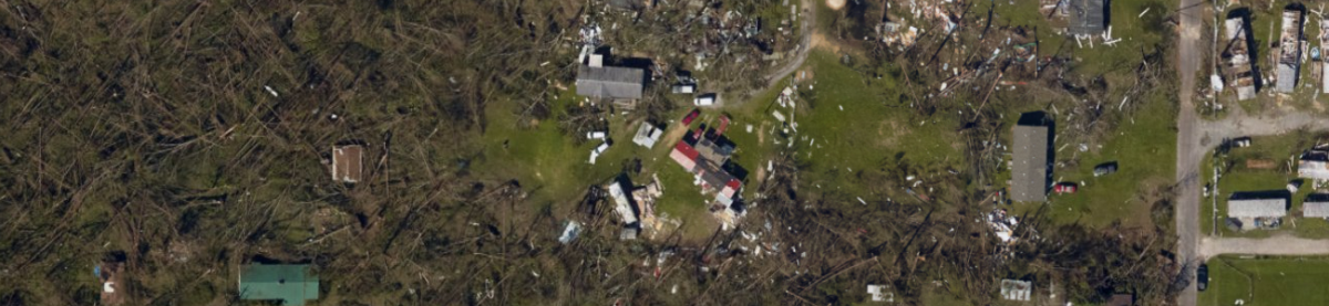 Hurricane Michael damage to coastal forests