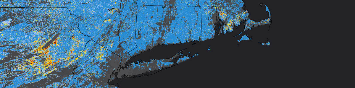 Gypsy Moth defoliation was extensive in 2015 in northeastern Pennsylvania