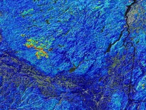The effects of heavy snowpack after the 2009-10 winter on the Tug Hill Plateau, New York. Image: Steve Norman, USFS
